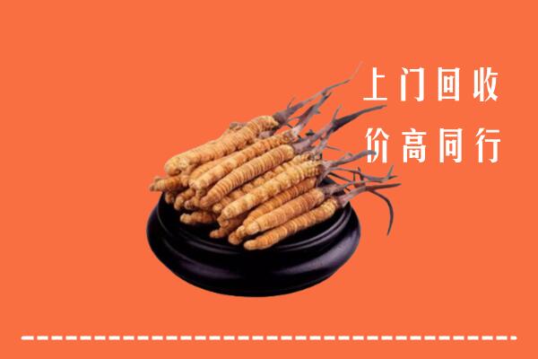 收购行情：邢台冬虫夏草回收多少钱每克