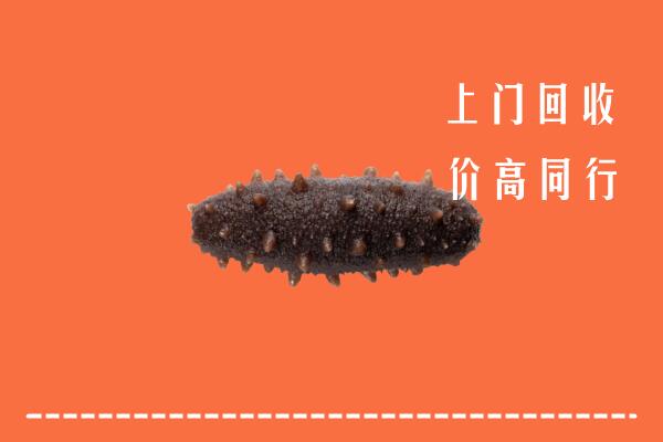 邢台高价回收海参
